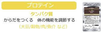 プロテイン